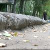 На улице Панина не приняли ремонт тротуара (видео)